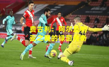 费古利：阿尔及利亚之翼的绿茵传奇