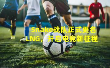 Snake战队正式更名LNG，开启电竞新征程