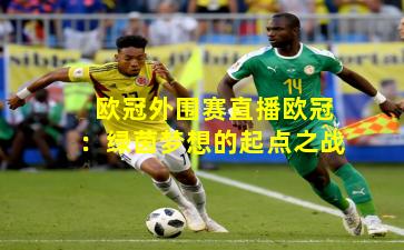欧冠外围赛直播欧冠：绿茵梦想的起点之战